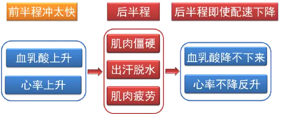 心率运动时范围是多少_心率在运动训练中的应用_运动员的心率